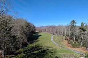 1955 Connestee Trail, Brevard, NC 28712 - Photo 35