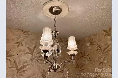 1955 Connestee Trail, Brevard, NC 28712 - Photo 43