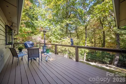 1955 Connestee Trail, Brevard, NC 28712 - Photo 19