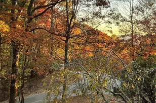 1955 Connestee Trail, Brevard, NC 28712 - Photo 41