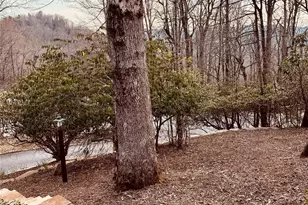 1955 Connestee Trail, Brevard, NC 28712 - Photo 27