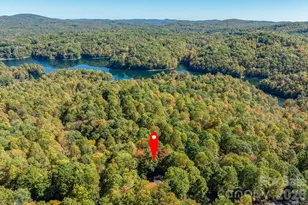 1955 Connestee Trail, Brevard, NC 28712 - Photo 13