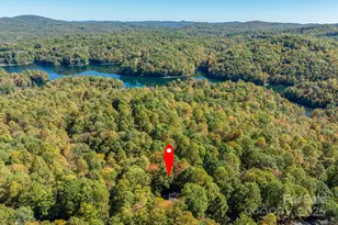 1955 Connestee Trail, Brevard, NC 28712 - Photo 13