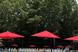 10317 Clubhouse View Ln, Mint Hill, NC 28227 - Photo 45