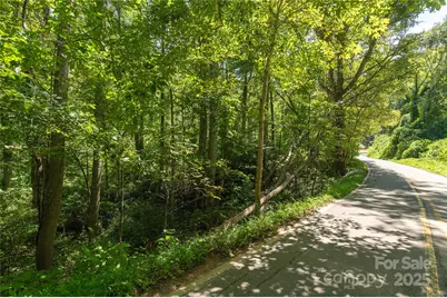 99999 Christian Creek Road, Swannanoa, NC 28778 - Photo 7