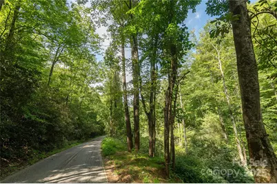 99999 Christian Creek Road, Swannanoa, NC 28778 - Photo 1