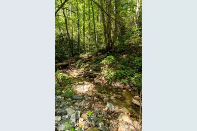 99999 Christian Creek Road, Swannanoa, NC 28778 - Photo 5