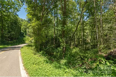 99999 Christian Creek Road, Swannanoa, NC 28778 - Photo 9