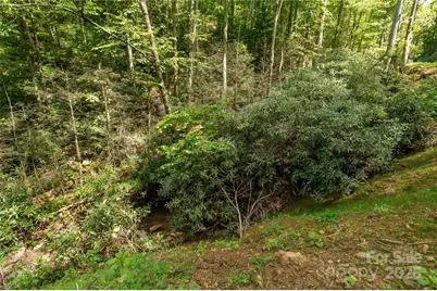 99999 Christian Creek Road, Swannanoa, NC 28778 - Photo 3