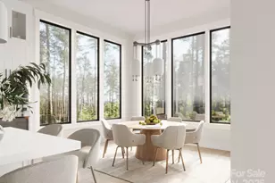 67 Mont Clair Trail, Horse Shoe, NC 28742 - Photo 7