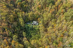 336 Berry Ln, Bryson City, NC 28713 - Photo 39