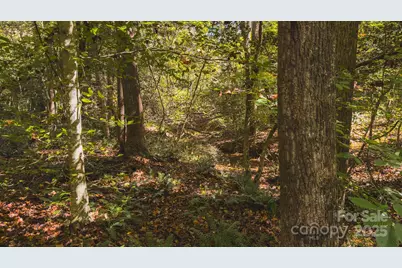 Tbd Mary Lane, Hamptonville, NC 27020 - Photo 21