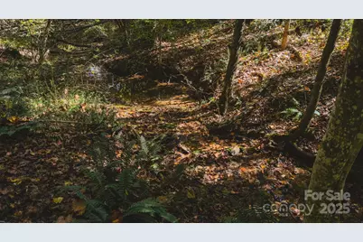 Tbd Mary Lane, Hamptonville, NC 27020 - Photo 23