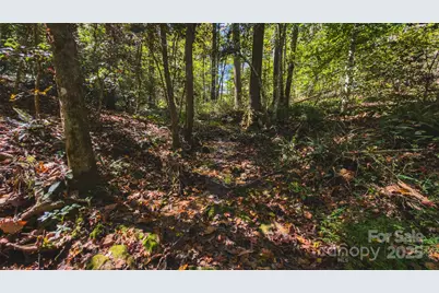 Tbd Mary Lane, Hamptonville, NC 27020 - Photo 25