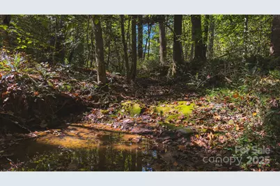 Tbd Mary Lane, Hamptonville, NC 27020 - Photo 27
