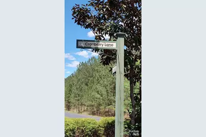 105 Cranberry Lane, Mooresboro, NC 28114 - Photo 23