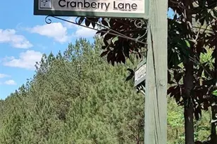 105 Cranberry Ln, Mooresboro, NC 28114 - Photo 23