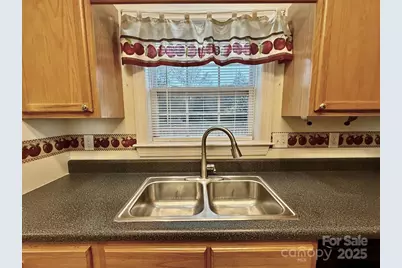 1054 Sandy Springs Road, Rutherfordton, NC 28139 - Photo 9