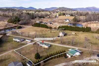 41 Little Hungry Road, Hendersonville, NC 28792 - Photo 3