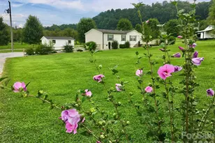 41 Little Hungry Rd, Hendersonville, NC 28792 - Photo 1