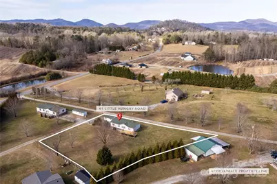 41 Little Hungry Road, Hendersonville, NC 28792 - Photo 3