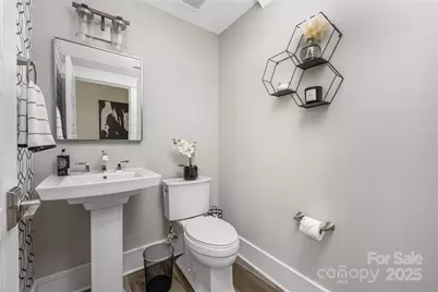 208 Ambleside Village Lane, Davidson, NC 28036 - Photo 25