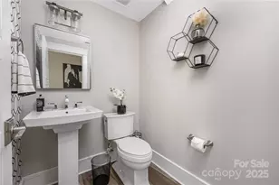 208 Ambleside Vlg Ln, Davidson, NC 28036 - Photo 25