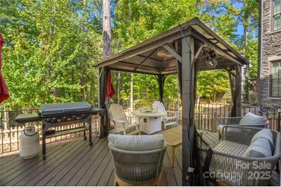 208 Ambleside Village Lane, Davidson, NC 28036 - Photo 31