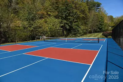 481 Overlook Drive, Mars Hill, NC 28754 - Photo 45