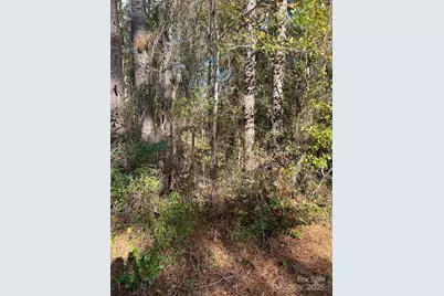 00 Horton Road, Wadesboro, NC 28170 - Photo 3