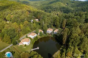 110 Lakeview Ct, Brevard, NC 28712 - Photo 25