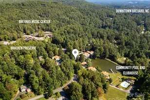 110 Lakeview Ct, Brevard, NC 28712 - Photo 3