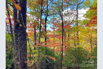 57 Grouse Ridge Drive, Black Mountain, NC 28711 - Photo 29