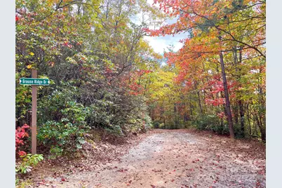 57 Grouse Ridge Drive, Black Mountain, NC 28711 - Photo 9