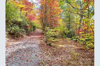 57 Grouse Ridge Drive, Black Mountain, NC 28711 - Photo 11