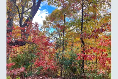 57 Grouse Ridge Drive, Black Mountain, NC 28711 - Photo 25