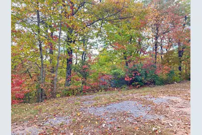 57 Grouse Ridge Drive, Black Mountain, NC 28711 - Photo 17