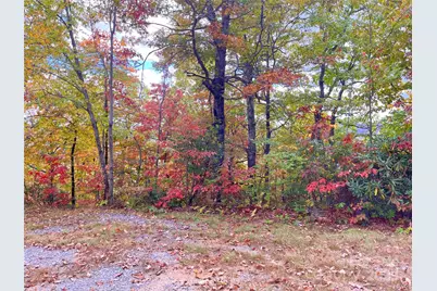 57 Grouse Ridge Drive, Black Mountain, NC 28711 - Photo 15