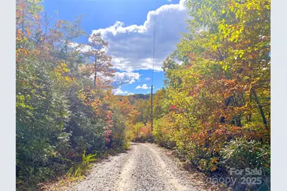 57 Grouse Ridge Drive, Black Mountain, NC 28711 - Photo 39