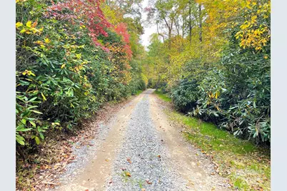 57 Grouse Ridge Drive, Black Mountain, NC 28711 - Photo 5