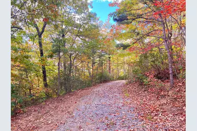 57 Grouse Ridge Drive, Black Mountain, NC 28711 - Photo 37