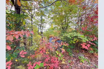 57 Grouse Ridge Drive, Black Mountain, NC 28711 - Photo 33