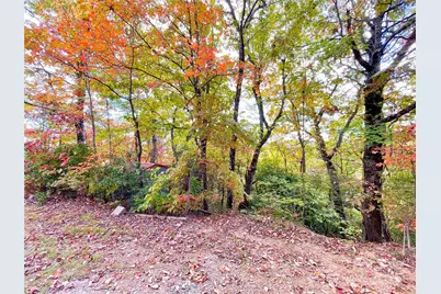 57 Grouse Ridge Drive, Black Mountain, NC 28711 - Photo 35