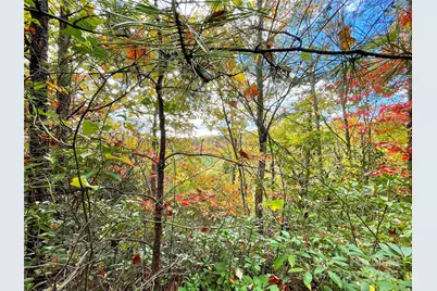 57 Grouse Ridge Drive, Black Mountain, NC 28711 - Photo 31