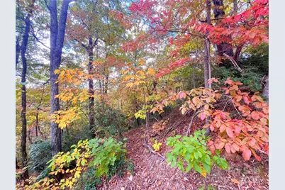 57 Grouse Ridge Drive, Black Mountain, NC 28711 - Photo 19