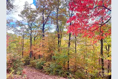 57 Grouse Ridge Drive, Black Mountain, NC 28711 - Photo 21
