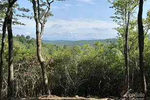 243 Ridgeline Dr, Brevard, NC 28712 - Photo 31