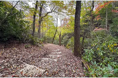 243 Ridgeline Drive, Brevard, NC 28712 - Photo 39