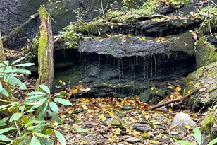 243 Ridgeline Dr, Brevard, NC 28712 - Photo 37