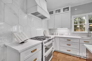 20657 Spring Grove Ln, Cornelius, NC 28031 - Photo 3